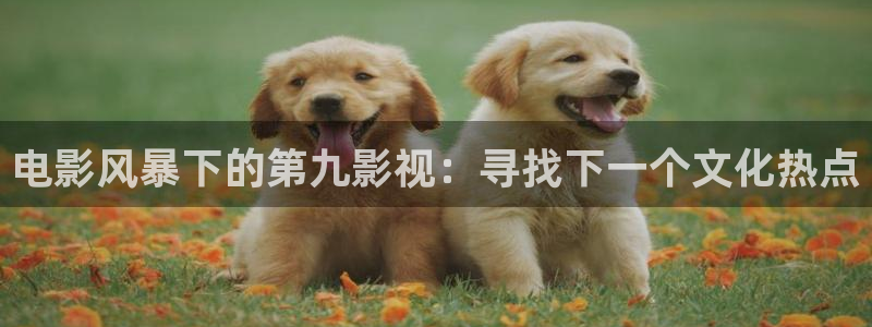 好看影院在线观看：电影风暴下的第九影视：寻找下一个文化热点