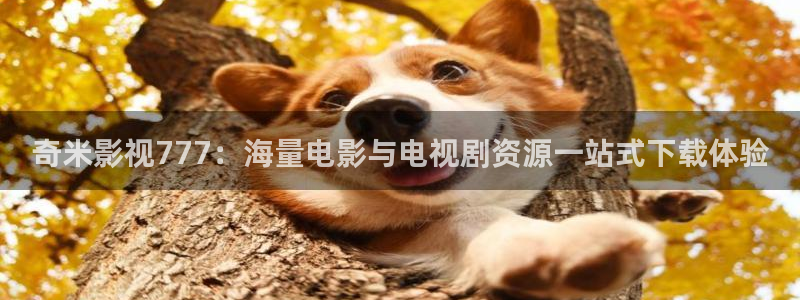 好好看影院