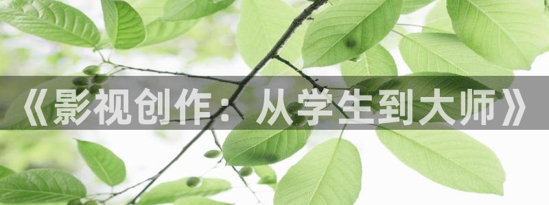 好看影院在线观看电影