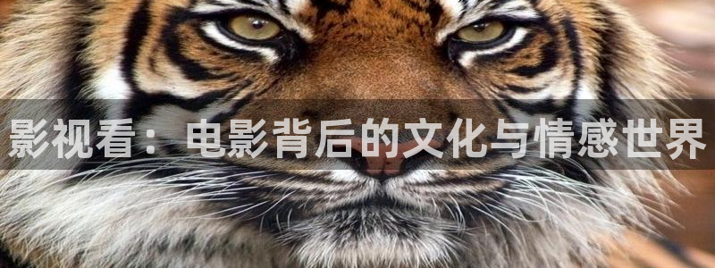 好看影院大全