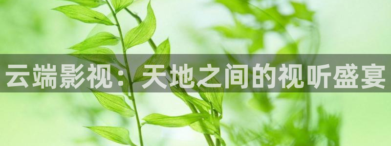 好看影院大全：云端影视：天地之间的视听盛宴