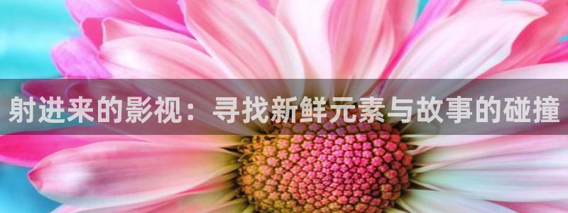 好好看影院：射进来的影视：寻找新鲜元素与故事的碰撞