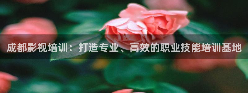 好看影院：成都影视培训：打造专业、高效的职业技能培训基地